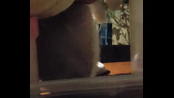 妮姬是一款真正的搖屁股手遊