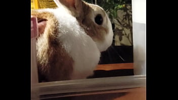 妮姬是一款真正的搖屁股手遊