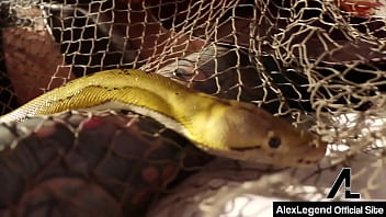 Kind of fury nympho nicole aniston fucks vigorous minotaur alex legend