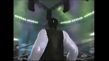 The danger twins vs the bullies