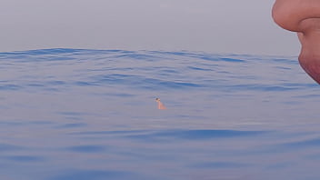 Mujer nadando es comida