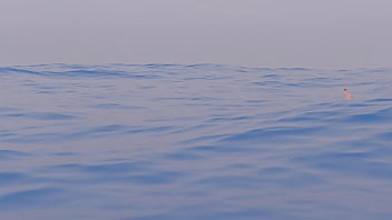 Mujer nadando es comida