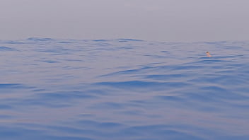 Mujer nadando es comida