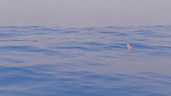 Mujer nadando es comida