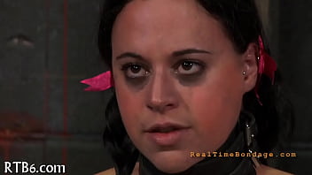 Hard toy for beauty's anal canal