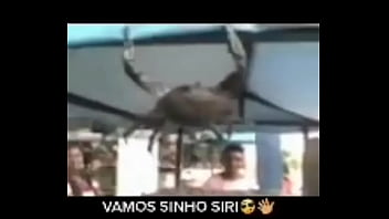 Senhor Siri Fazendo Flexões Enquanto Narrador Fala thumbnail