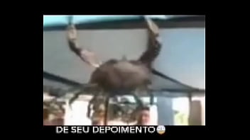 Senhor siri fazendo flexões enquanto narrador fala