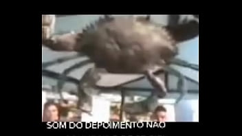 Senhor Siri Fazendo Flexões Enquanto Narrador Fala thumbnail