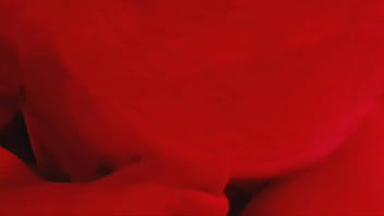 Getting my cock sucked