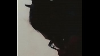 Fan first time recording