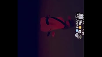 Su u ze piriquito e faco gozu