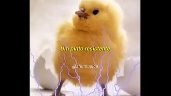 Pinto Resistente thumbnail