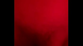 China Bush thumbnail