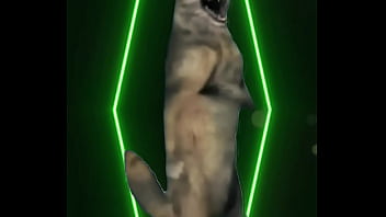 No words needed — just presence the definition of power wrapped in elegance