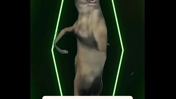 No words needed — just presence the definition of power wrapped in elegance