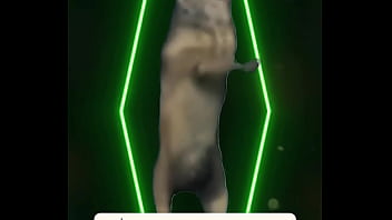 No words needed — just presence the definition of power wrapped in elegance