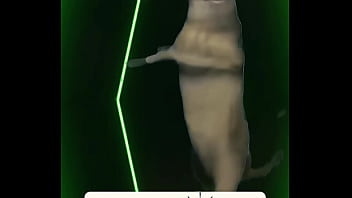 No words needed — just presence the definition of power wrapped in elegance