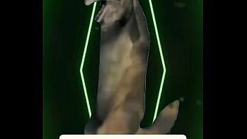 No words needed — just presence the definition of power wrapped in elegance