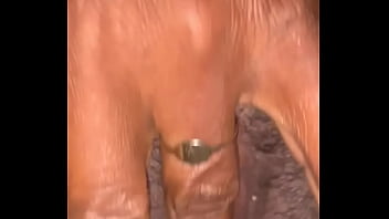 Shift your pant for the dick