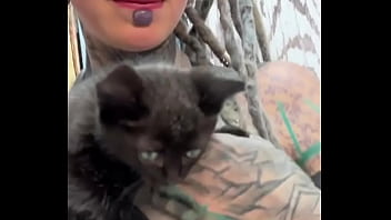 Sweet little black kitty cat what's your favorite thing about black cats #blackkittylove #sweet #catvibes #psyla