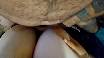 Busty breast big boobs fuck