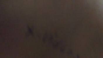 Verificación de perfil