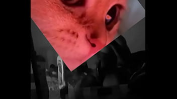 Conoceme un poco te sorprenderas Conoceme un poco te sorprenderas