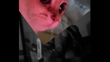 Conoceme un poco te sorprenderas