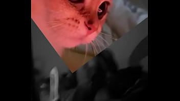 Conoceme un poco te sorprenderas