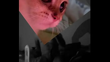 Conoceme un poco te sorprenderas