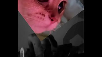 Conoceme un poco te sorprenderas