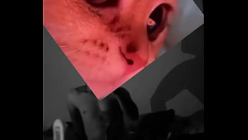 Conoceme un poco te sorprenderas