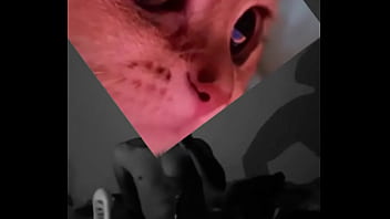 Conoceme un poco te sorprenderas