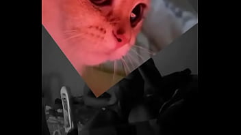 Conoceme un poco te sorprenderas Conoceme un poco te sorprenderas