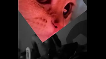 Conoceme un poco te sorprenderas Conoceme un poco te sorprenderas
