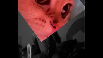 Conoceme un poco te sorprenderas