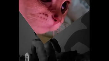 Conoceme un poco te sorprenderas