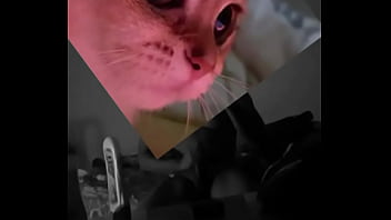 Conoceme un poco te sorprenderas