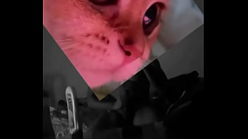 Conoceme un poco te sorprenderas