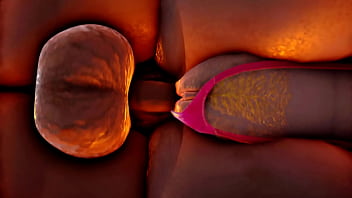 Dickgirl fucks bitch with big butt