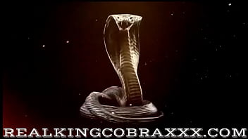 Happy New Title Preview Hot Content Alert Omg I’m Running From Your Cobra Feat Sexy Sin City thumbnail