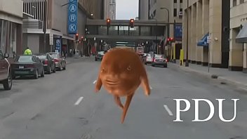 Titulo para emissora