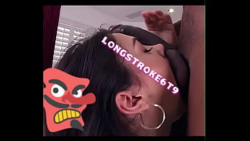 Cocks layers of longstroke6t9