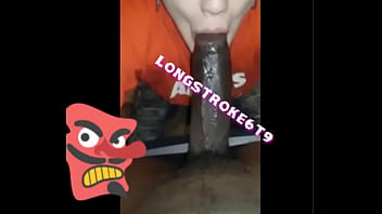 Cocks layers of longstroke6t9