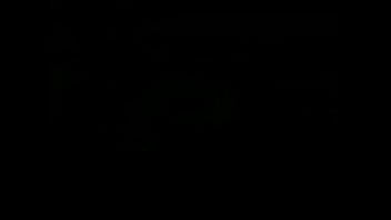 Pinto preso na porta