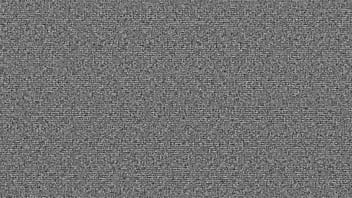 Hot babes fight each other