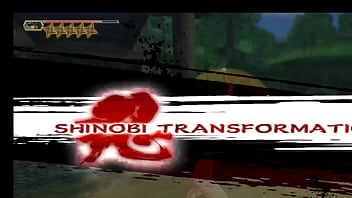 Hot babes fight each other