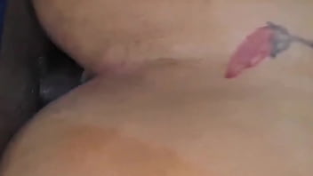 Representou a raça ponta firme