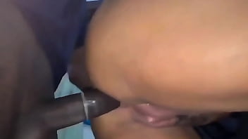 Representou a raça ponta firme