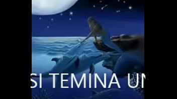 Vídeo de verificación